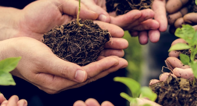 Verein Ehrenamtliche Mitarbeiter Verein Ehrenamtliche Mitarbeiter